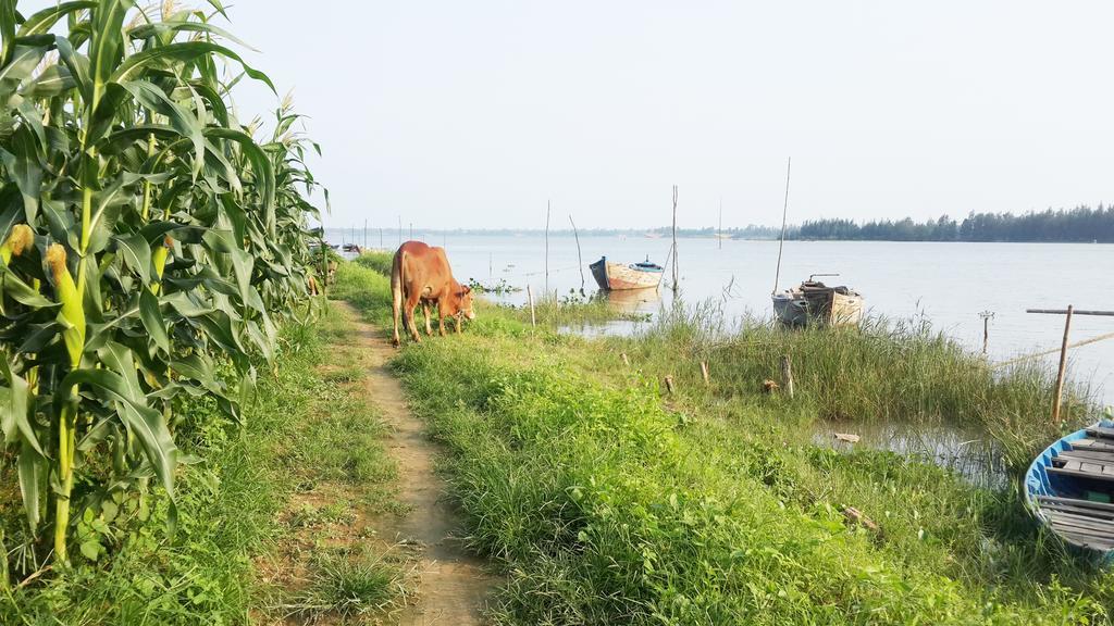 Riverside Hamlet Homestay & Villa هوي ان المظهر الخارجي الصورة