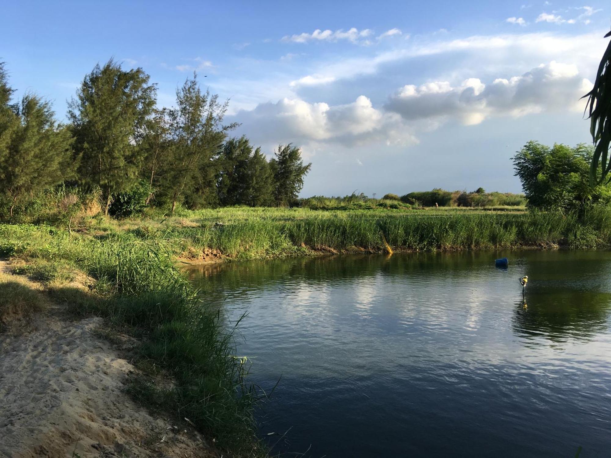 Riverside Hamlet Homestay & Villa هوي ان المظهر الخارجي الصورة