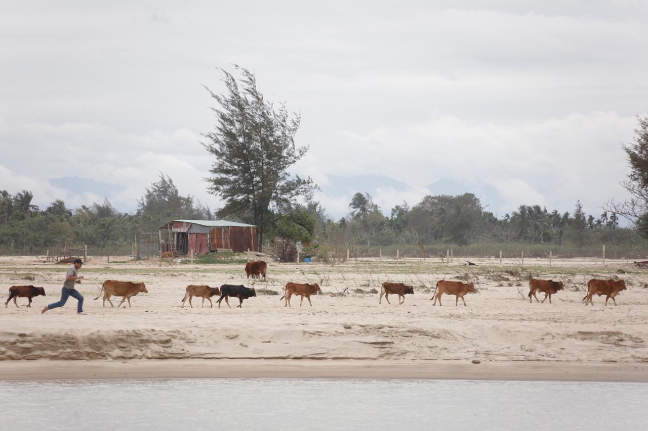 Riverside Hamlet Homestay & Villa هوي ان المظهر الخارجي الصورة